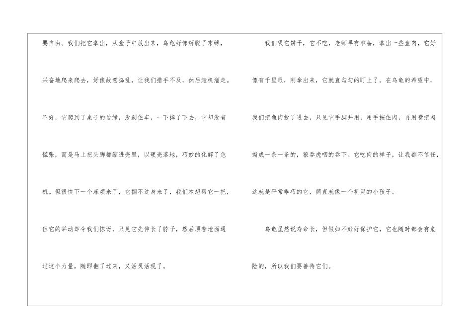 聪明的小乌龟-关于乌龟的作文650字_第2页