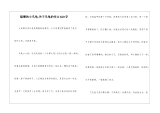 聪明的小乌龟-关于乌龟的作文650字