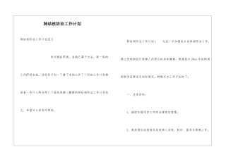 肺结核防治工作计划