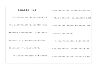 胖大海-观察作文550字-