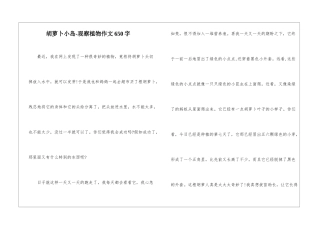 胡萝卜小岛-观察植物作文650字-
