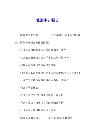能源审计报告