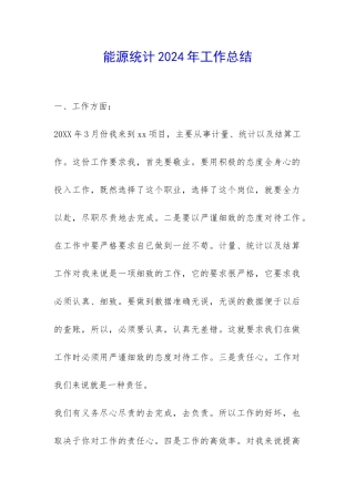 能源统计2024年工作总结-