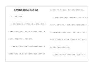 自然资源和规划局三月工作总结