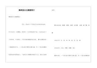 舞蹈基本功撕腰图片