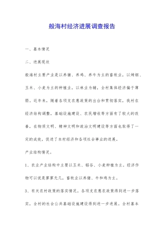 般海村经济发展调查报告-