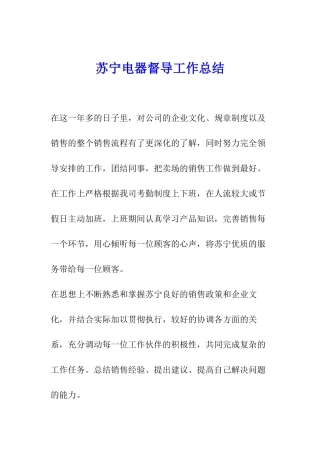 苏宁电器督导工作总结