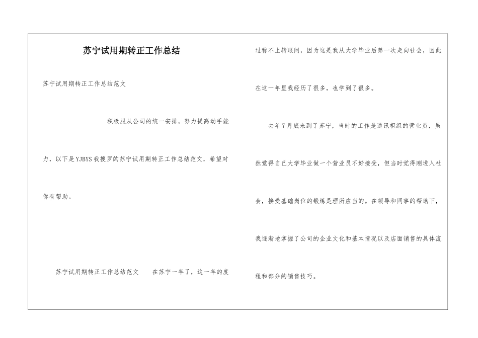 苏宁试用期转正工作总结_第1页