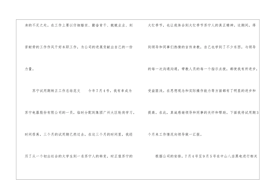 苏宁试用期转正工作总结_第3页