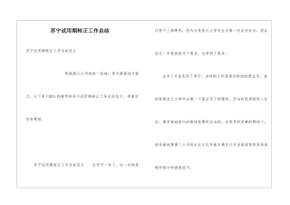 苏宁试用期转正工作总结