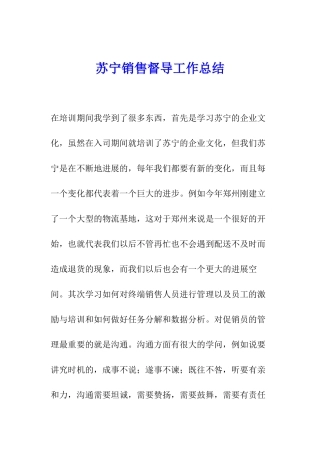 苏宁销售督导工作总结