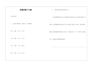 苏珊的帽子习题-