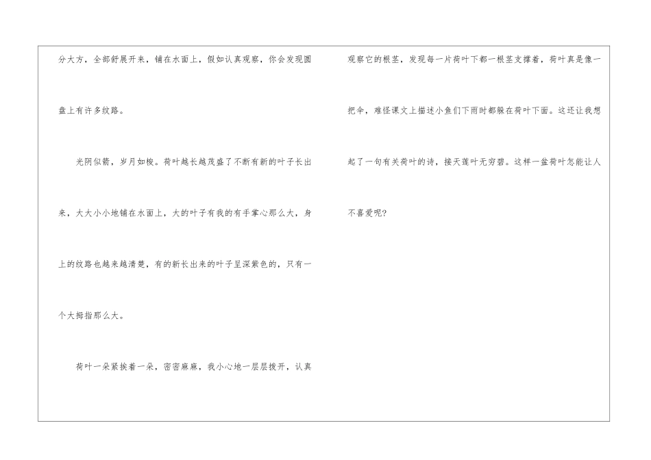 荷叶-描写植物的作文550字_第2页