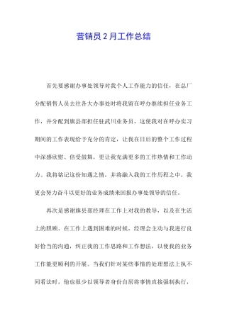 营销员2月工作总结