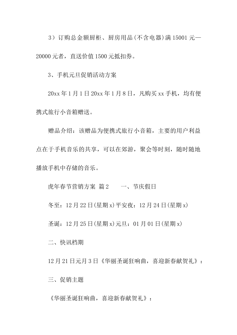 虎年春节营销方案_第3页