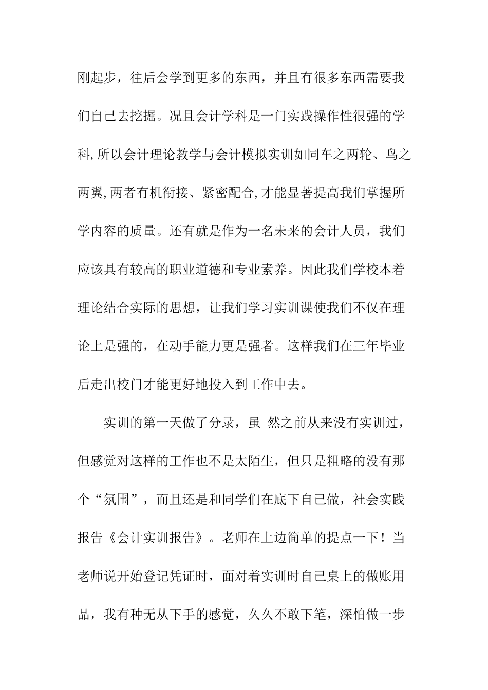 虚拟会计岗位实训报告_第2页