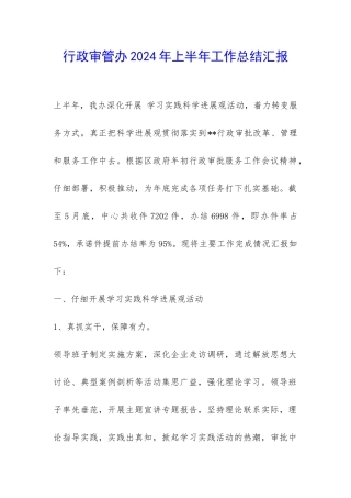 行政审管办2024年上半年工作总结汇报-