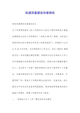 街道双基建设自查报告-