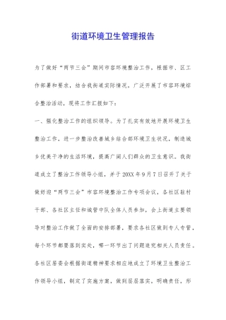 街道环境卫生管理报告-