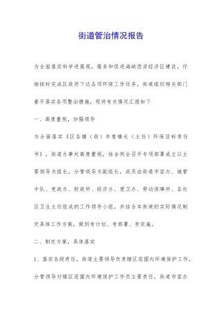 街道管治情况报告-