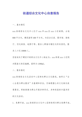 街道综合文化中心自查报告-