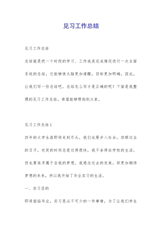 见习工作总结-