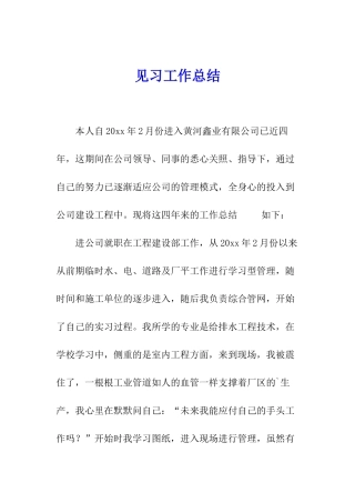 见习工作总结