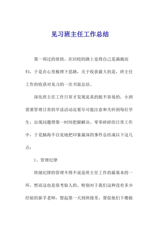见习班主任工作总结