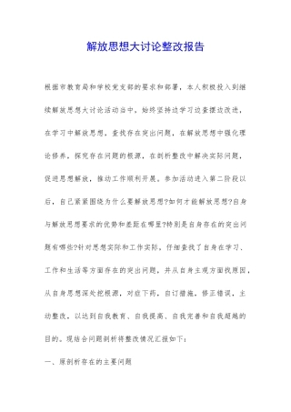 解放思想大讨论整改报告-