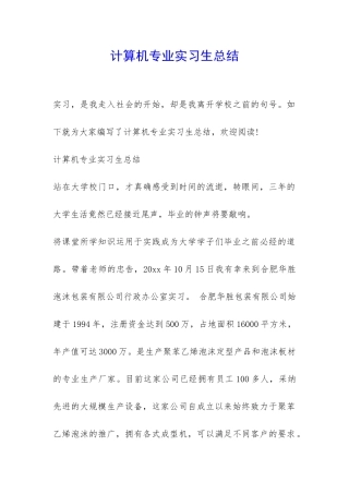 计算机专业实习生总结-