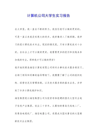 计算机公司大学生实习报告-