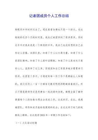 记者团成员个人工作总结-