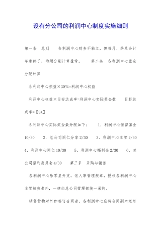 设有分公司的利润中心制度实施细则-