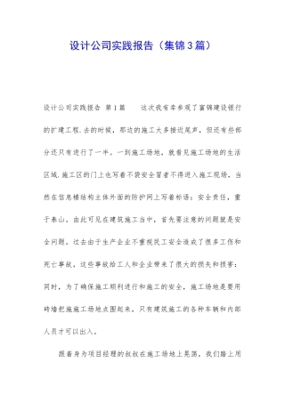 设计公司实践报告