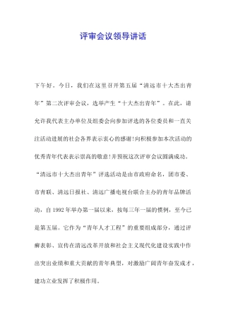 评审会议领导讲话
