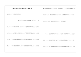 试用期三个月转正的工作总结
