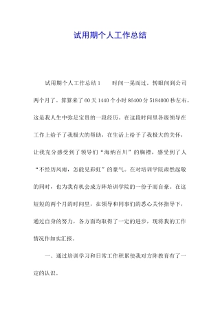 试用期个人工作总结