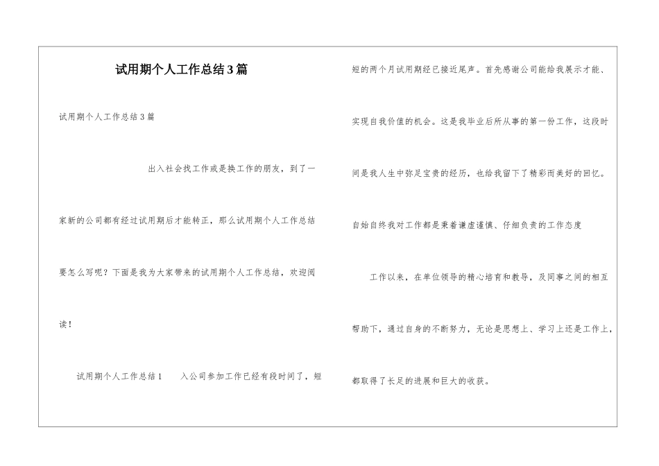 试用期个人工作总结3篇_第1页