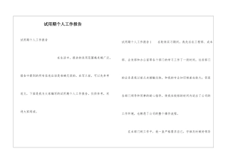 试用期个人工作报告
