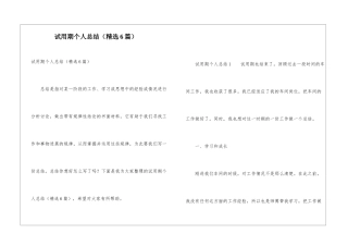 试用期个人总结