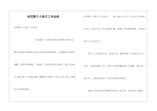 试用期个人转正工作总结
