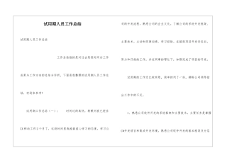 试用期人员工作总结