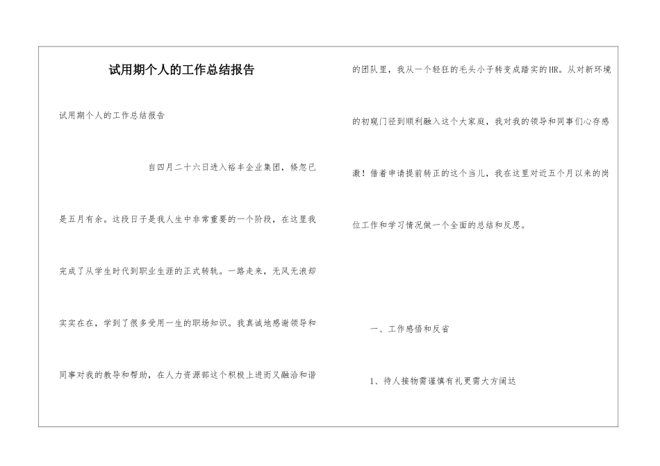 试用期个人的工作总结报告_第1页