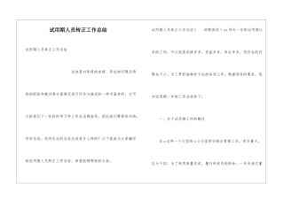 试用期人员转正工作总结