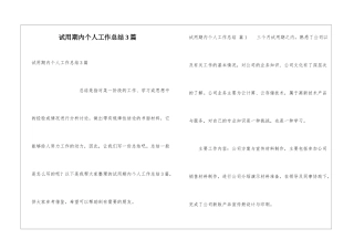 试用期内个人工作总结3篇