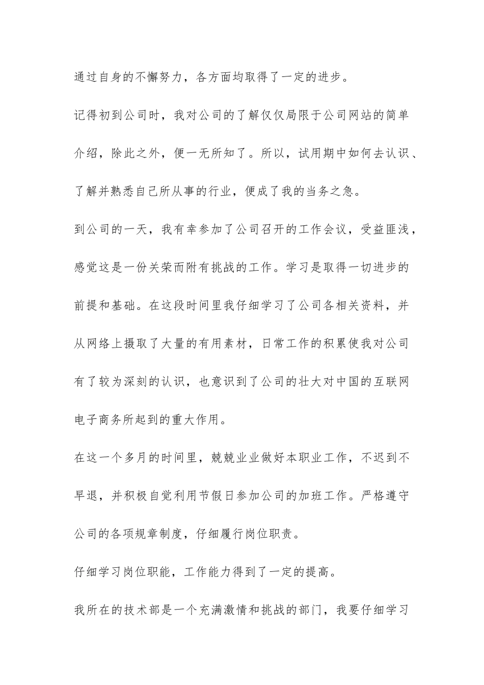 试用期内个人工作总结-_第2页