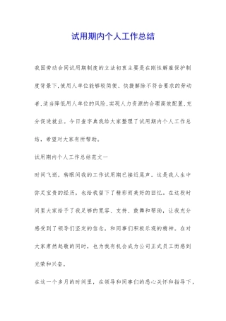 试用期内个人工作总结-