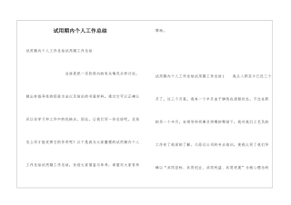 试用期内个人工作总结