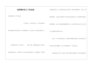 试用期内员工工作总结