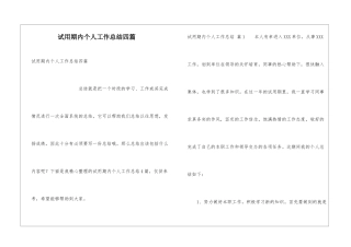 试用期内个人工作总结四篇